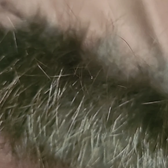 Christian Dior Vintage Winter Jacket in Chestnut Brown with Fur Trim size 40 / 8 - Picture 15 of 15